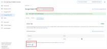 Issuer ID and Collector ID shown on the Google Wallet API page of the Google Pay & Wallet Console